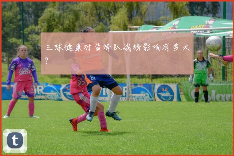 三球健康对黄蜂队战绩影响有多大？