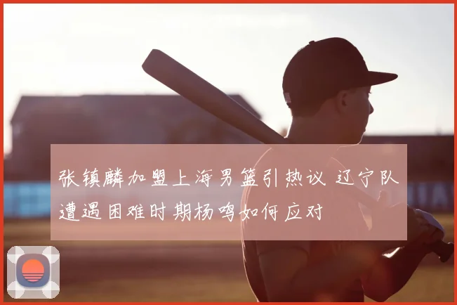 张镇麟加盟上海男篮引热议 辽宁队遭遇困难时期杨鸣如何应对