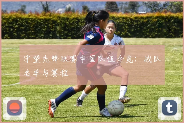 守望先锋联赛中国队伍全览:战队名单与赛程