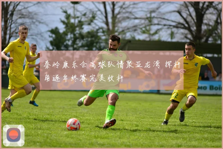 秦岭康乐会高球队情聚亚龙湾 挥杆角逐年终赛完美收杆